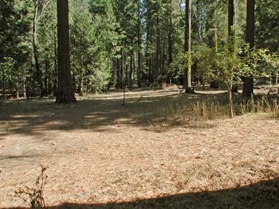 39057 Ridge Road Shaver Lake, CA 93664 - Photo 22 of 38 Gallery Image 22