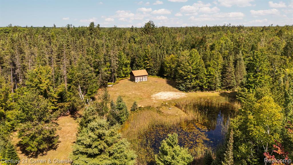 3265 Roost Road Onaway, MI 49765 - Photo 43 of 51