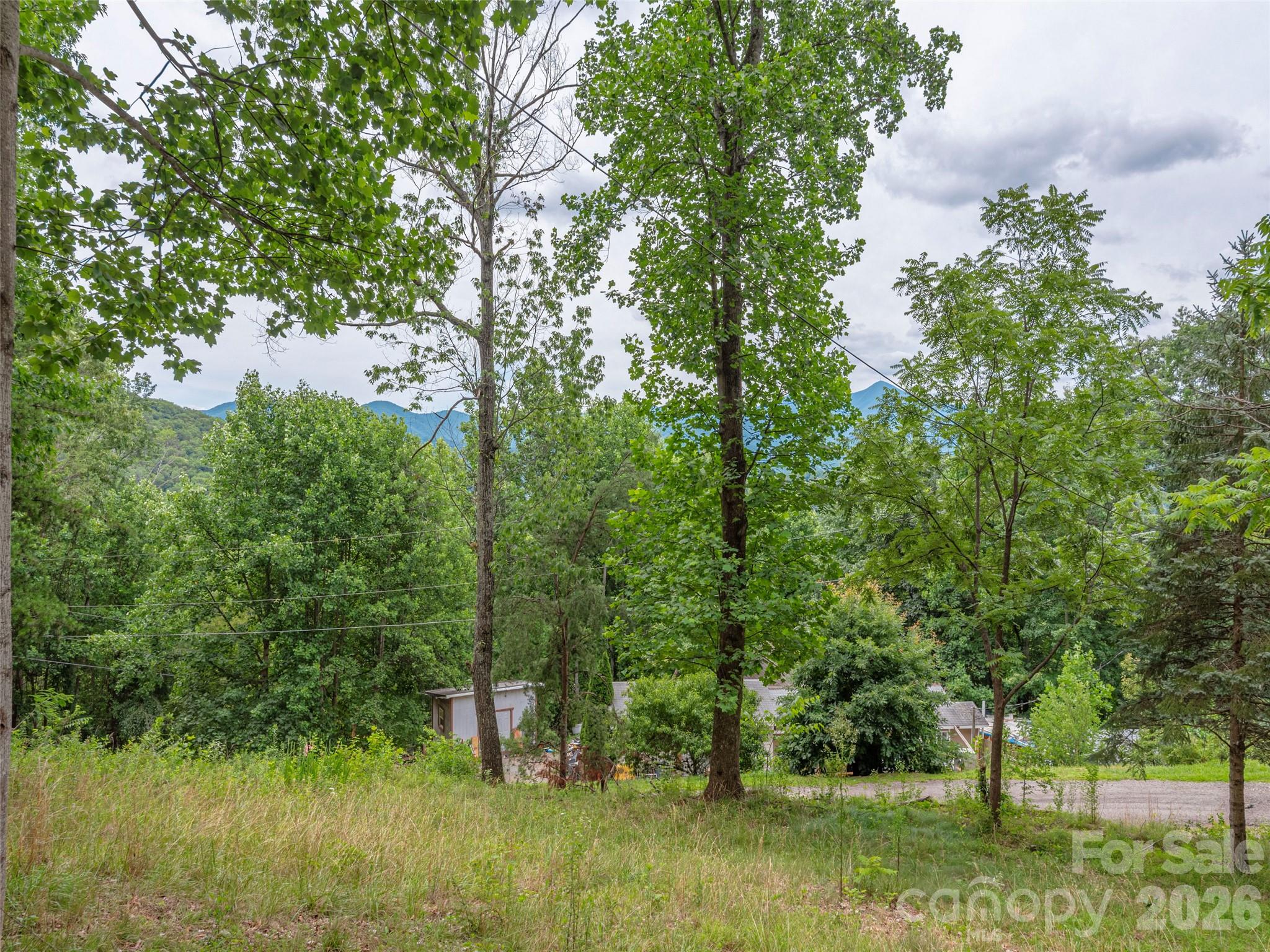 87 Holly Ridge Road Candler, NC 28715 - Photo 4 of 18