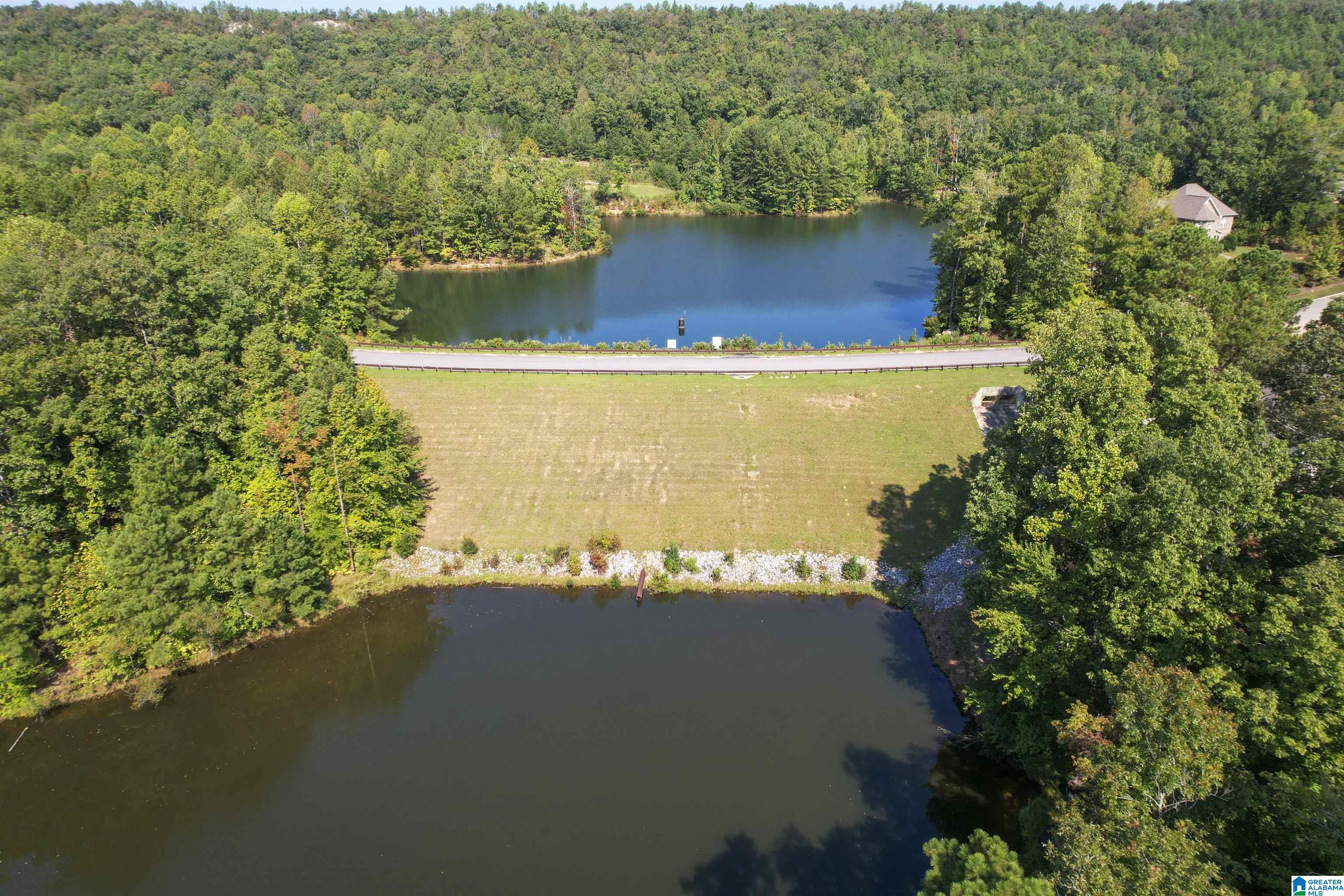 Lot 1 Ridgeline Drive, Unit 1 Chelsea, AL 35043 - Photo 4 of 4