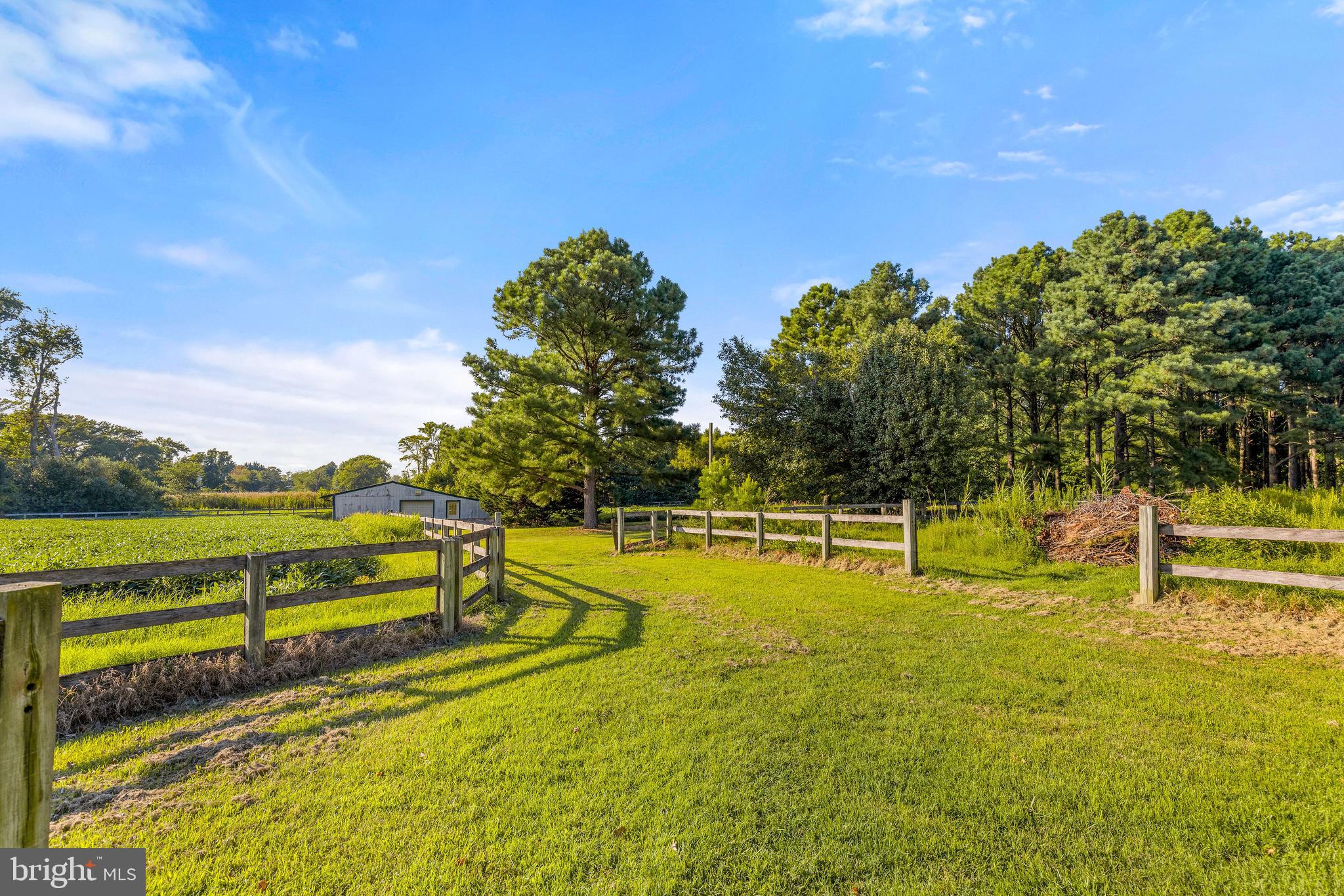 7152 Kent Point Road Stevensville, MD 21666 - Photo 60 of 65 Gallery Image 60