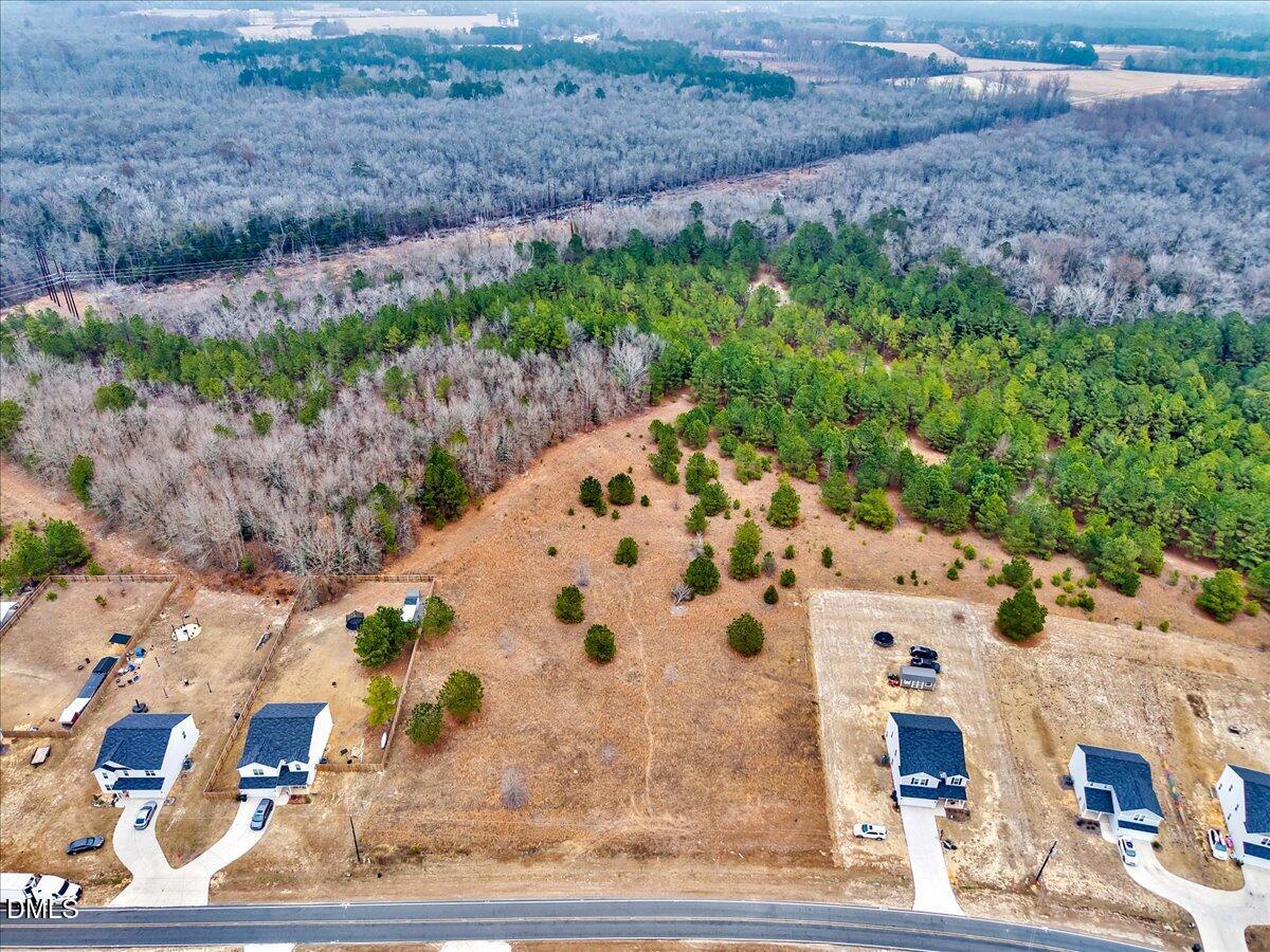 Lot 4 Blue Springs Road Red Springs, NC 28377 - Photo 2 of 9