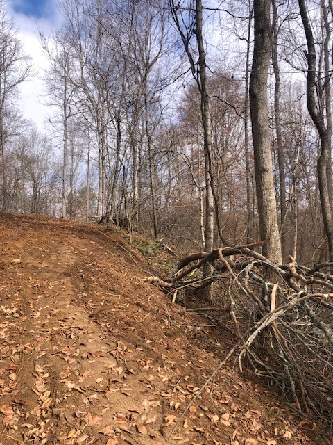 8510 Alex Goins Road Lyles, TN 37098 - Photo 1 of 3 a view of a yard with trees