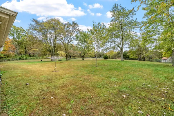 a view of yard with tree and green space