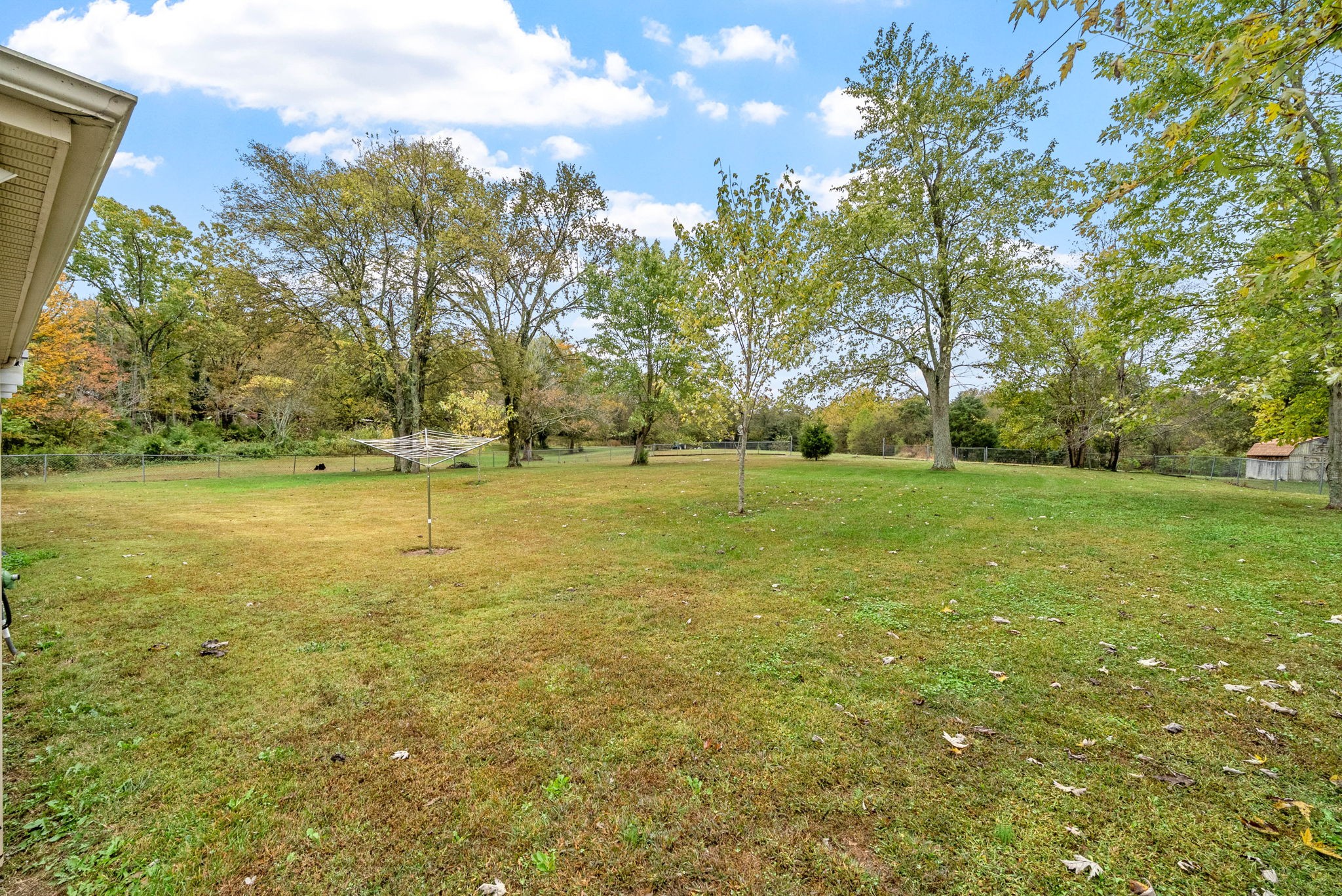 5675 Princeton Road Hopkinsville, KY 42240 - Photo 31 of 38 a view of a field with an trees