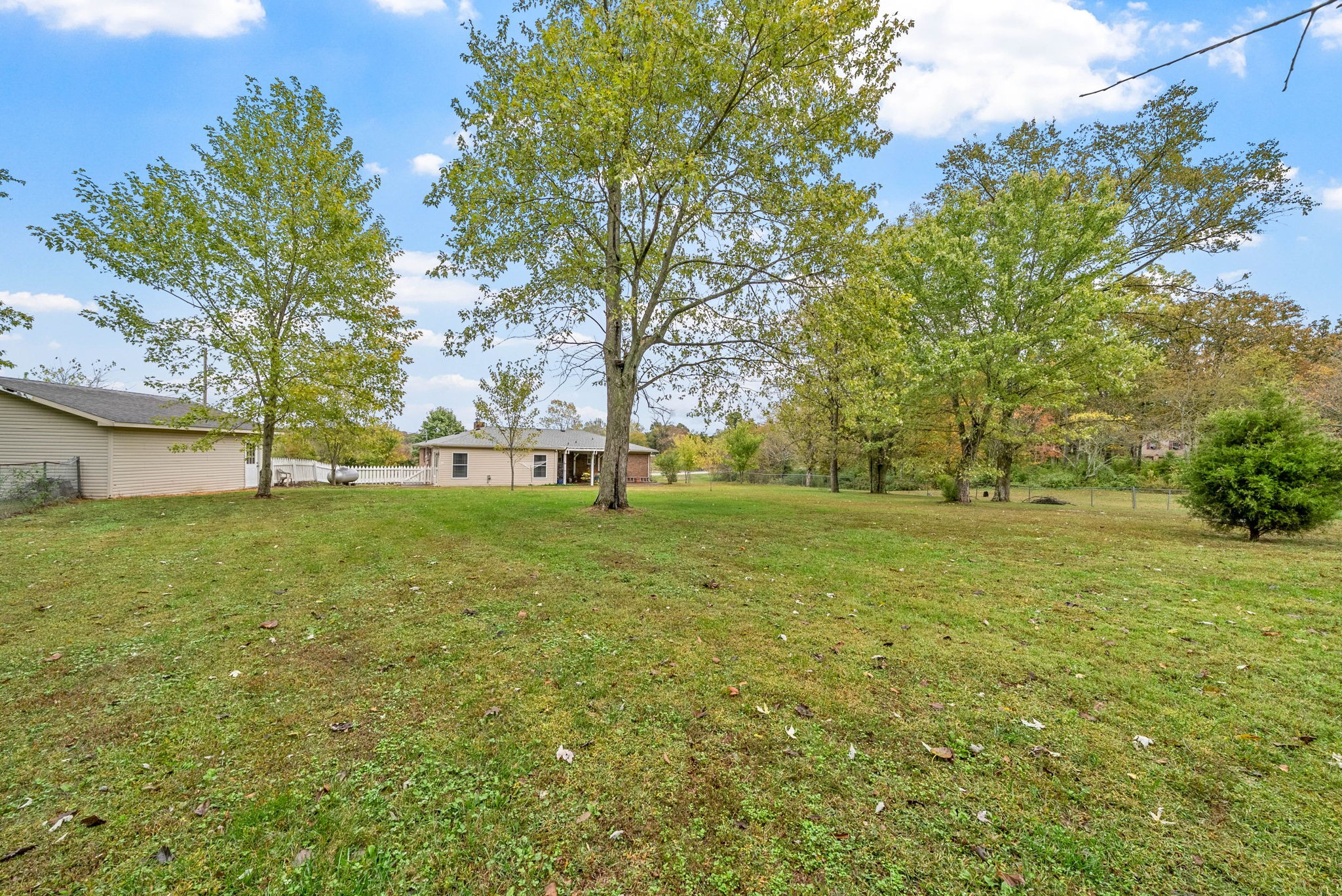 5675 Princeton Road Hopkinsville, KY 42240 - Photo 32 of 38 a view of yard with tree and green space