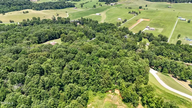 $199,000 | Tbd Tailwater Road, Unit 16, Bluff City, TN 37618