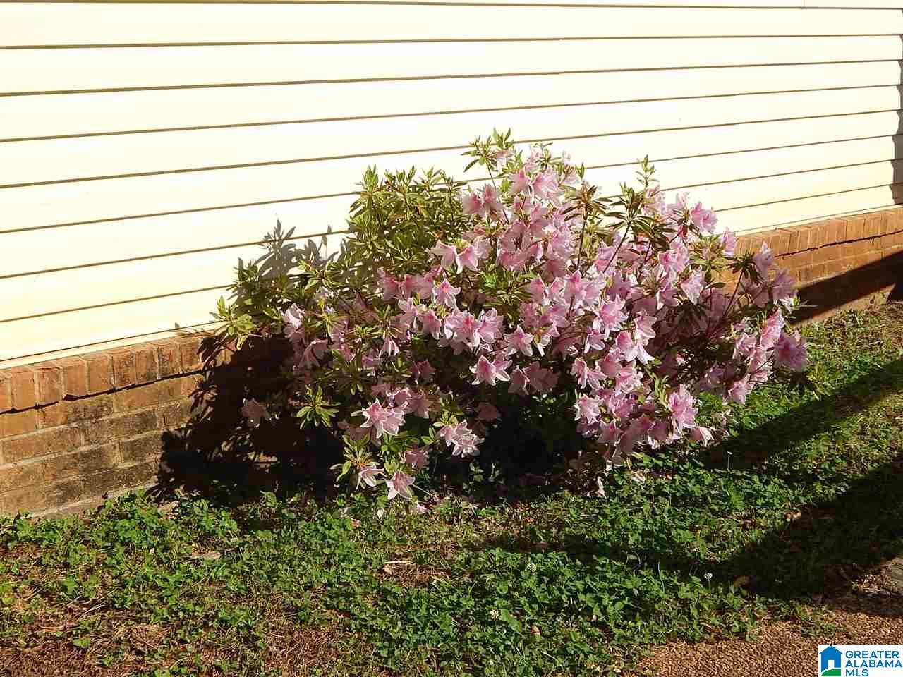 220 Doyle Drive Montevallo, AL 35115 - Photo 3 of 50