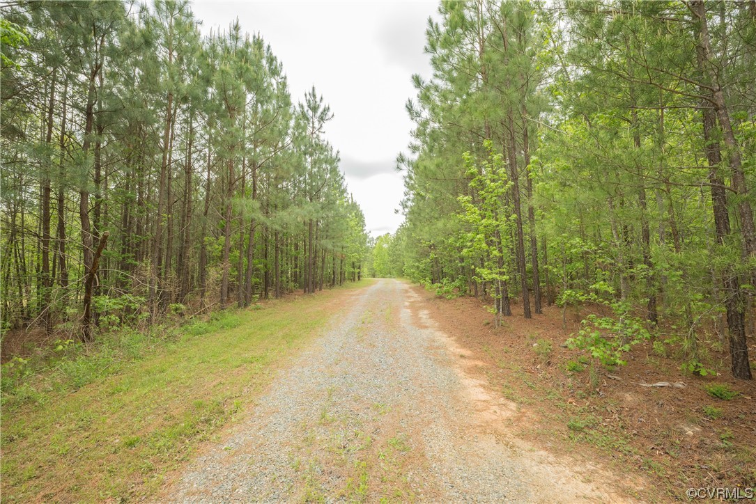 2095 Eureka Mill Road Keysville, VA 23947 - Photo 43 of 43 a view of a yard with trees in the background