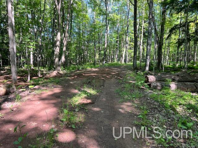 11.6 Acres Off Remington Road Marquette, MI 49855 - Photo 9 of 39