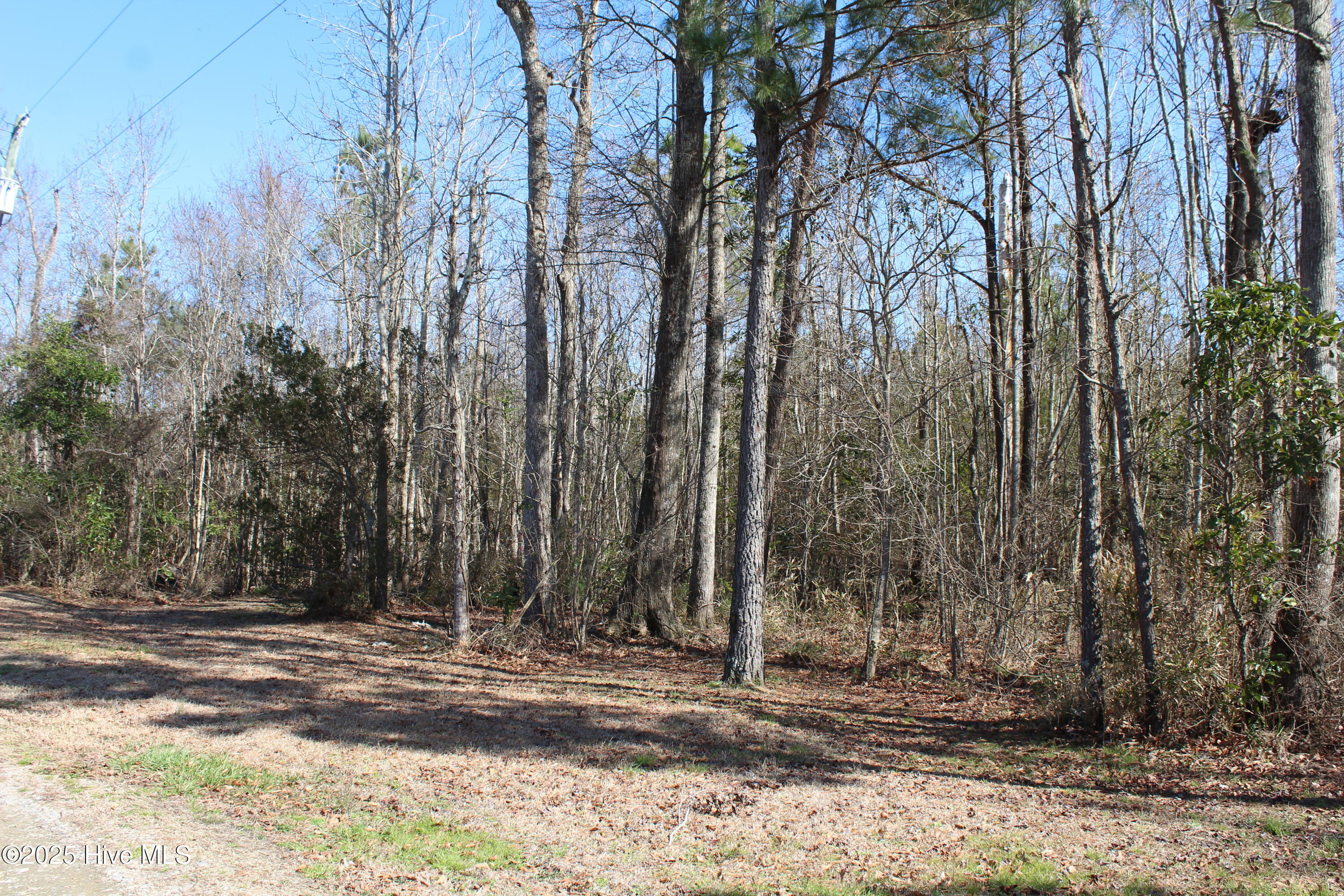 315 Newberry Landing Roper, NC 27970 - Photo 21 of 21 IMG_7701