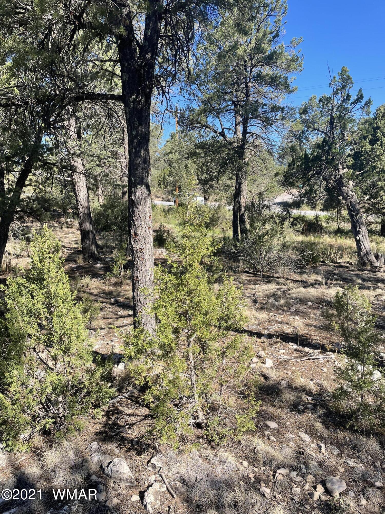 3125 Ranch Road Overgaard, AZ 85933 - Photo 4 of 9