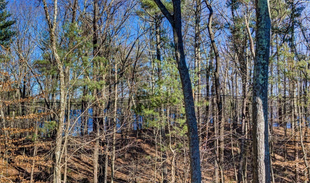 1 Castle Hill Road Hopkinton, MA 01748 - Photo 42 of 42 Gallery Image 42
