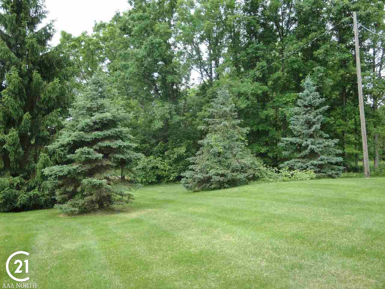 5115 Sandhill Road Almont, MI 48003 - Photo 19 of 20 Backyard