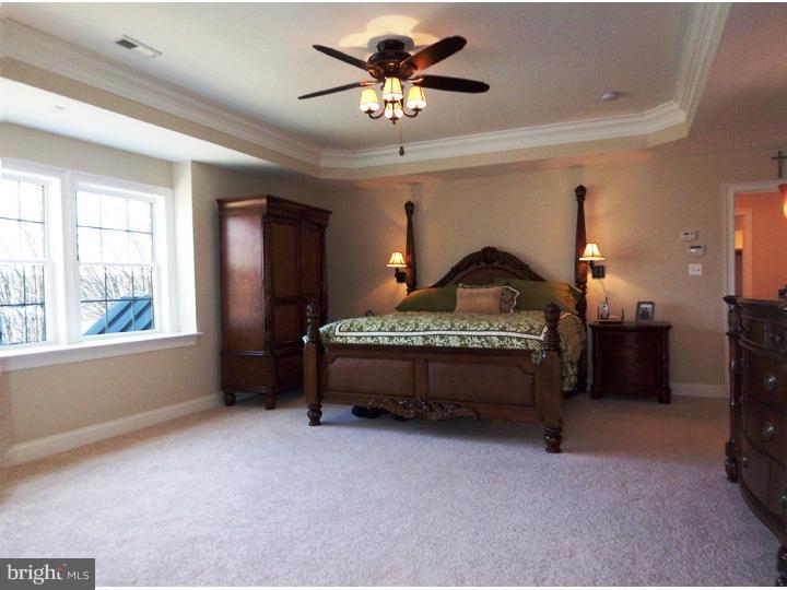 795 River Road Yardley, PA 19067 - Photo 12 of 24 Master Bedroom