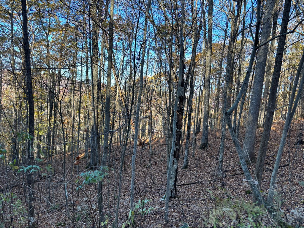 Lot#39 Falcon Stone Ridge Topton, NC 28781 - Photo 8 of 10