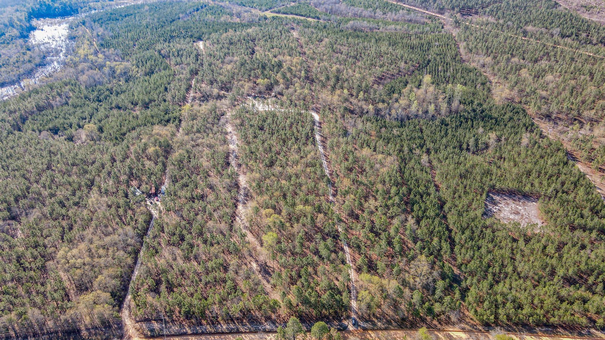 828 Hutto Pond Road Aiken, SC 29805 - Photo 4 of 10