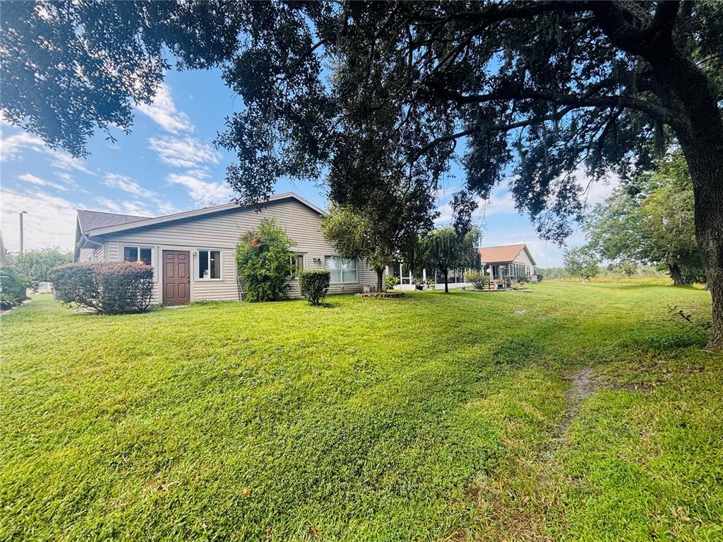 a view of a house with backyard and a tree