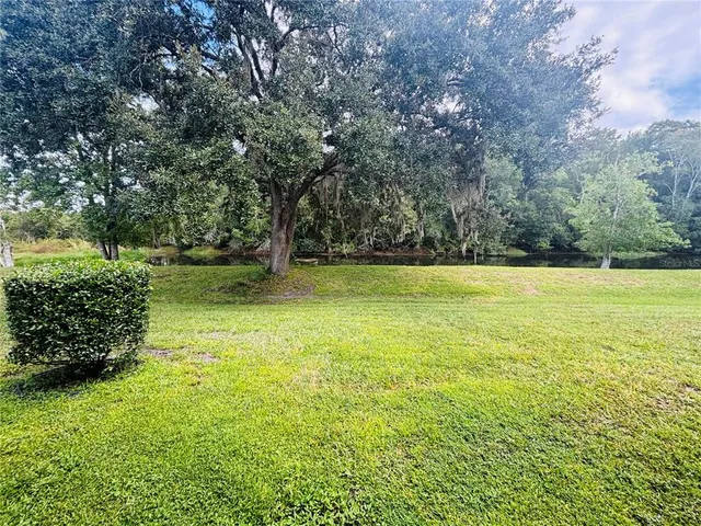 a view of a big yard with plants and large trees