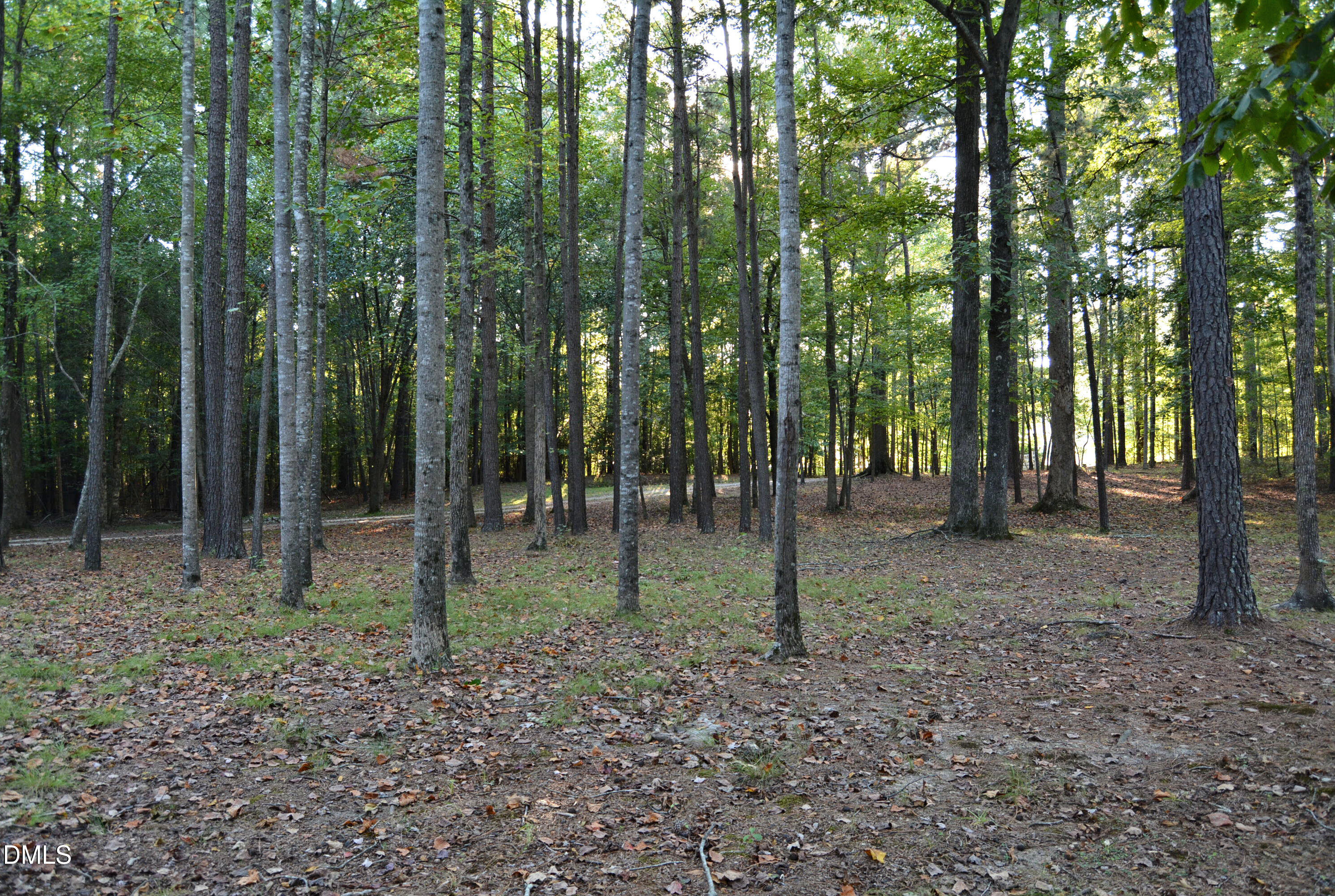 940 Richardson Road Zebulon, NC 27597 - Photo 48 of 54 Side Yard