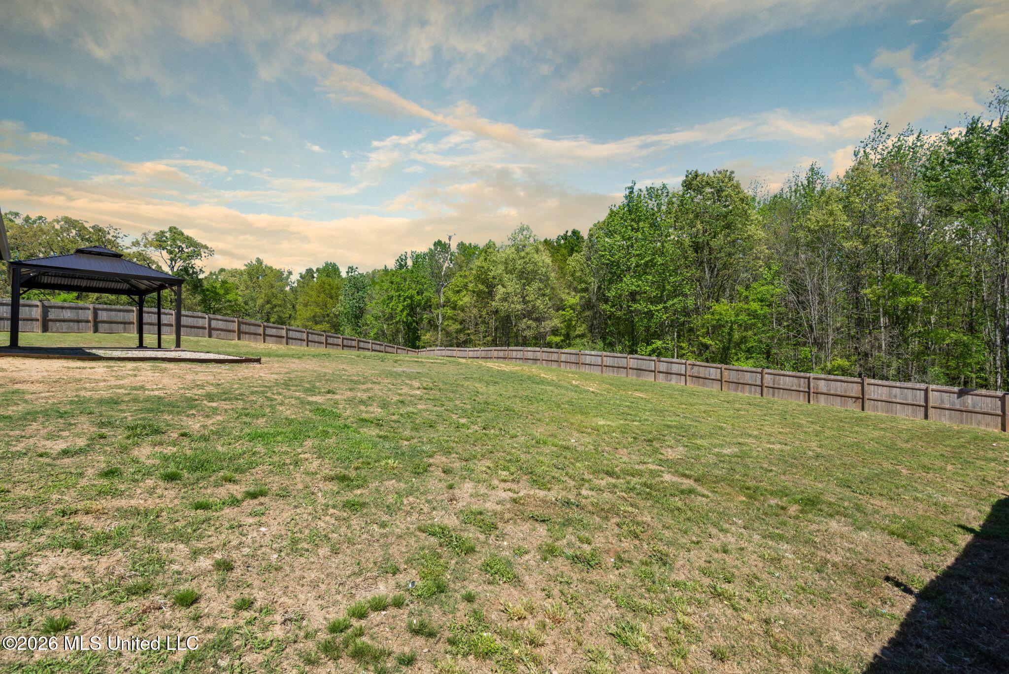 7616 Ridgefield Drive Horn Lake, MS 38637 - Photo 4 of 26 25-Backyard-Dramatic Sky