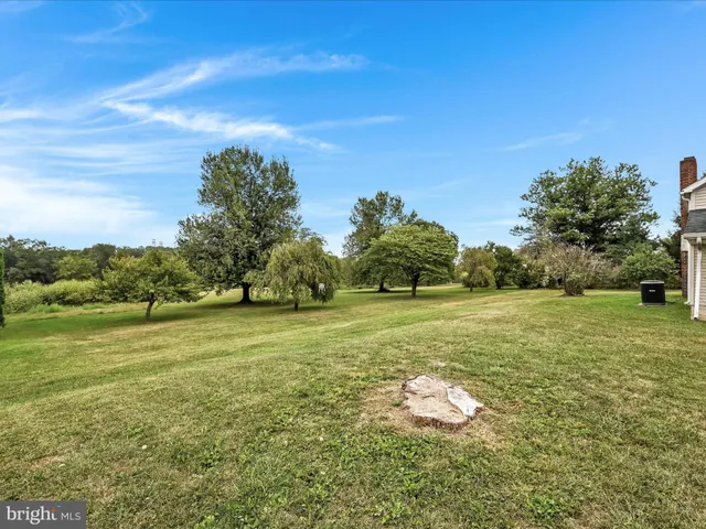 a yard with lots of green space and trees