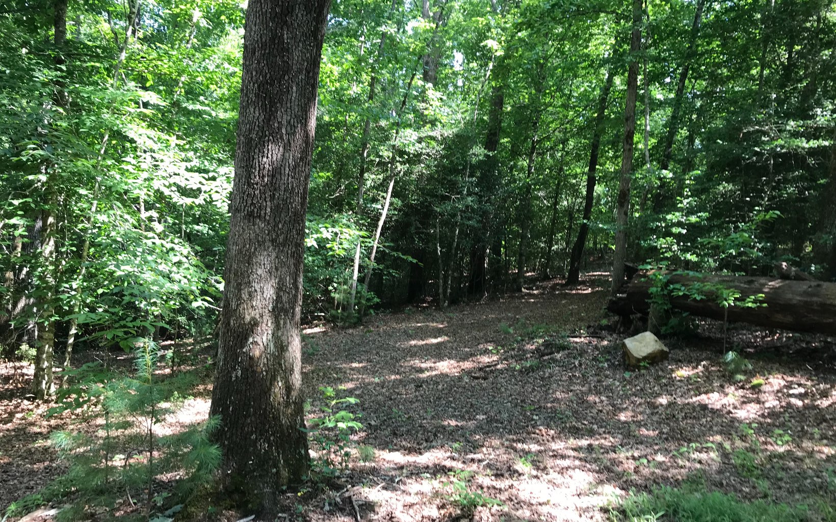 Two Two Cedars Road Morganton, GA 30560 - Photo 1 of 1 Main View