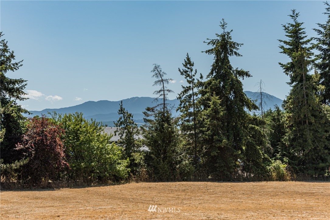 9999 North Kendall Road Sequim, WA 98382 - Photo 3 of 22 Gallery Image 3