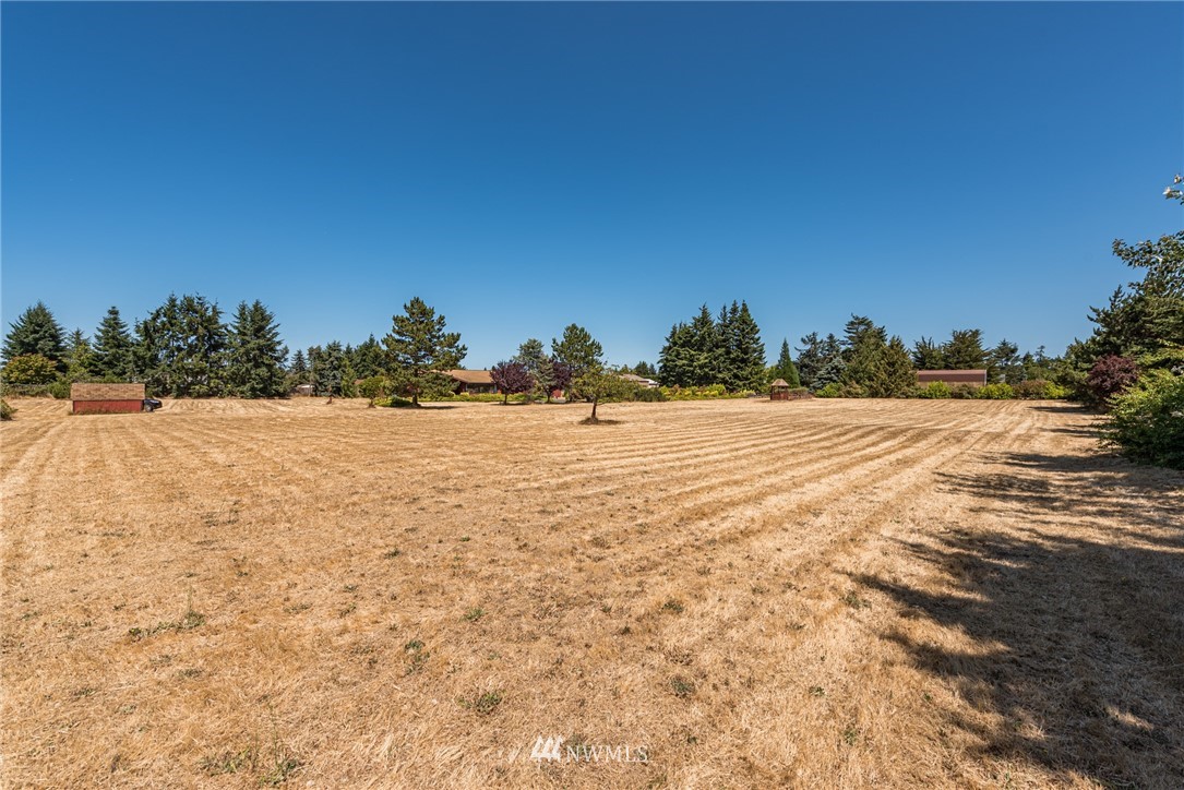 9999 North Kendall Road Sequim, WA 98382 - Photo 4 of 22 Gallery Image 4