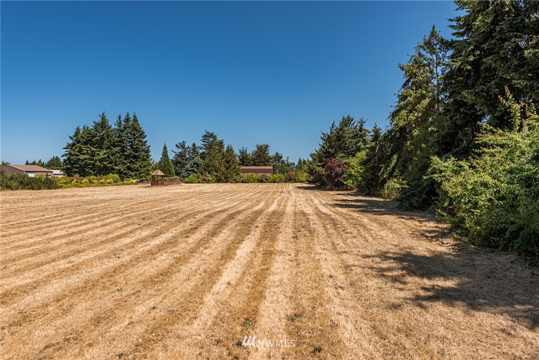 9999 North Kendall Road Sequim, WA 98382 - Photo 6 of 22 Gallery Image 6