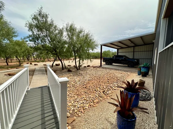 a view of a yard with a tree
