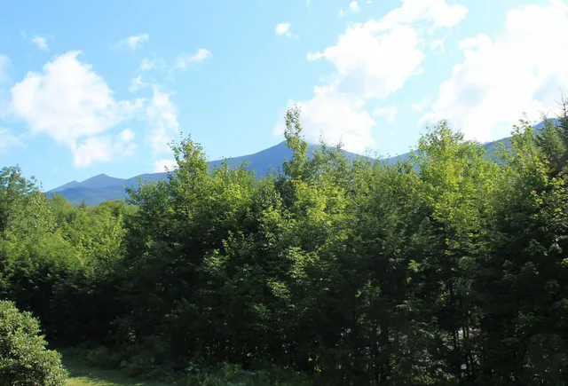 $750,000 | 7 Parker Street, Lincoln, NH 03251