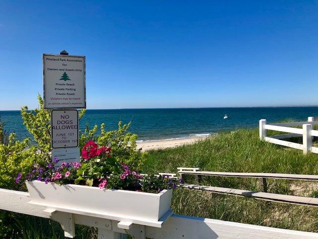 23 Skippers Way Brewster, MA 02631 - Photo 23 of 27 a view of a bunch of flowers in front of house