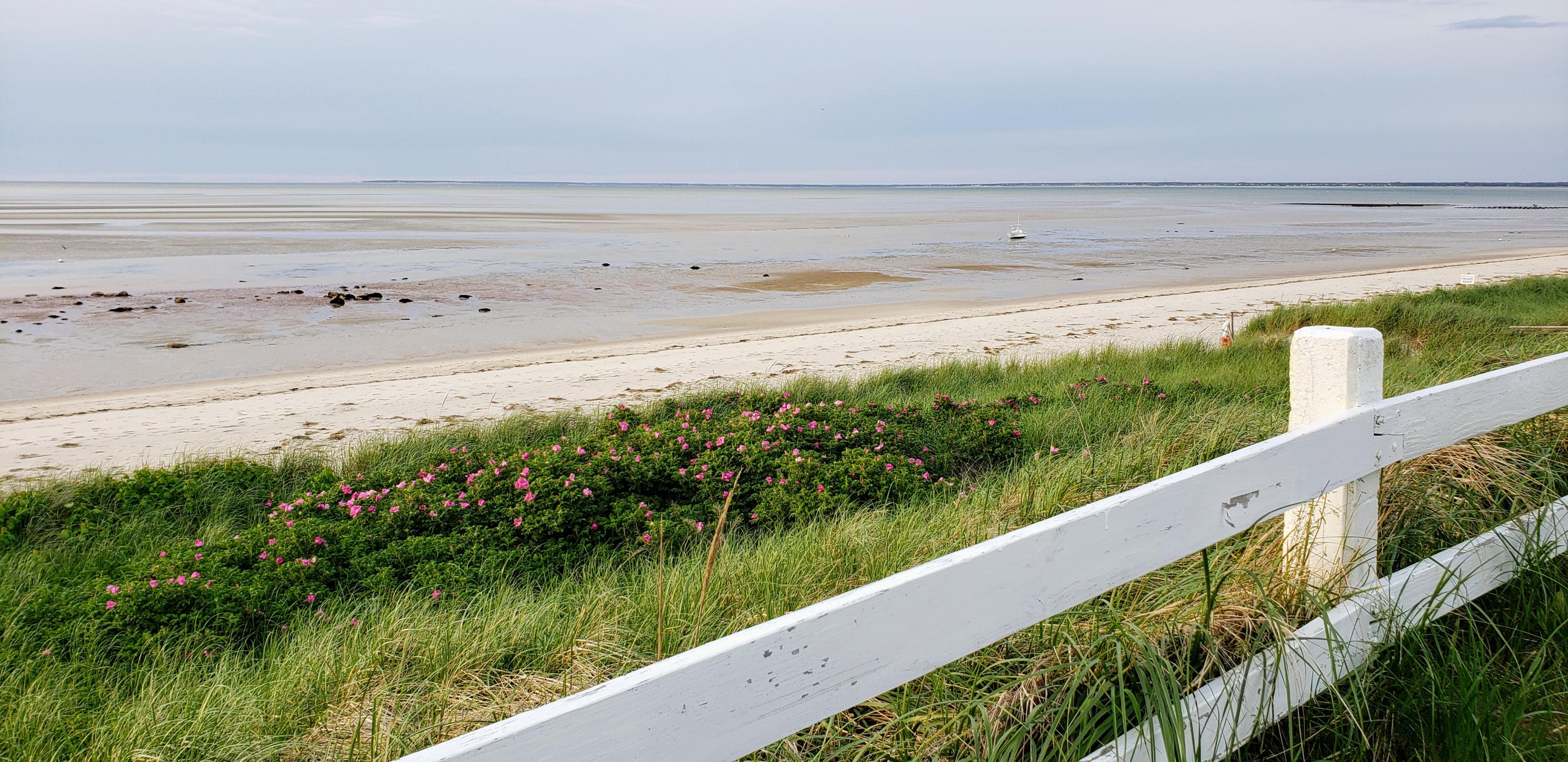 23 Skippers Way Brewster, MA 02631 - Photo 25 of 27 a view of a floor with a lake view
