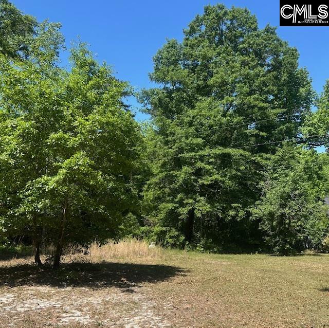 175 Geiger Lane Gaston, SC 29053 - Photo 6 of 14
