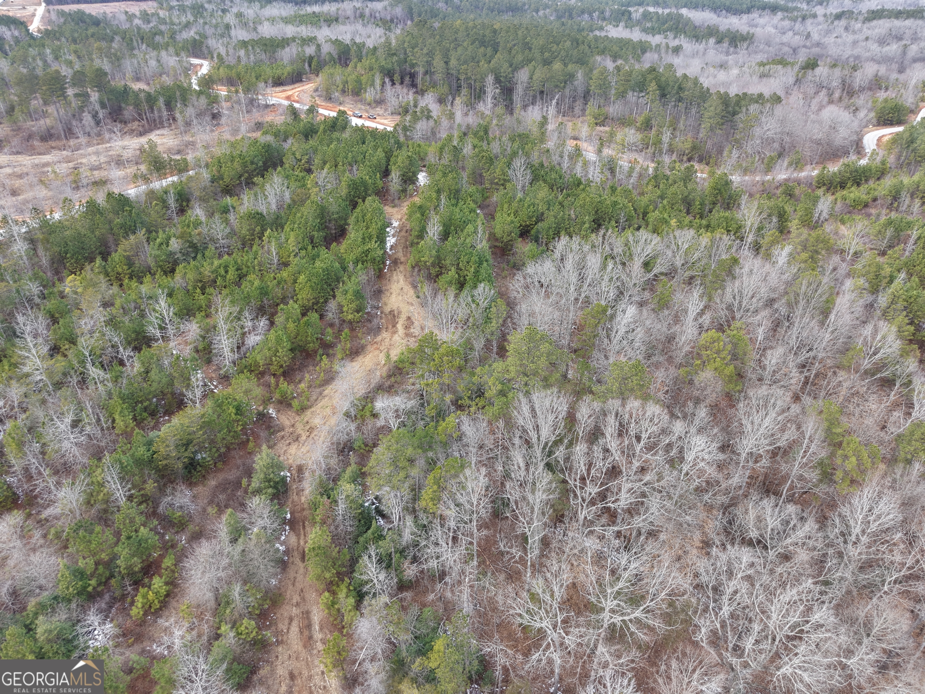 20 Turning Point Way Elberton, GA 30635 - Photo 11 of 40 a view of a forest that has a tree