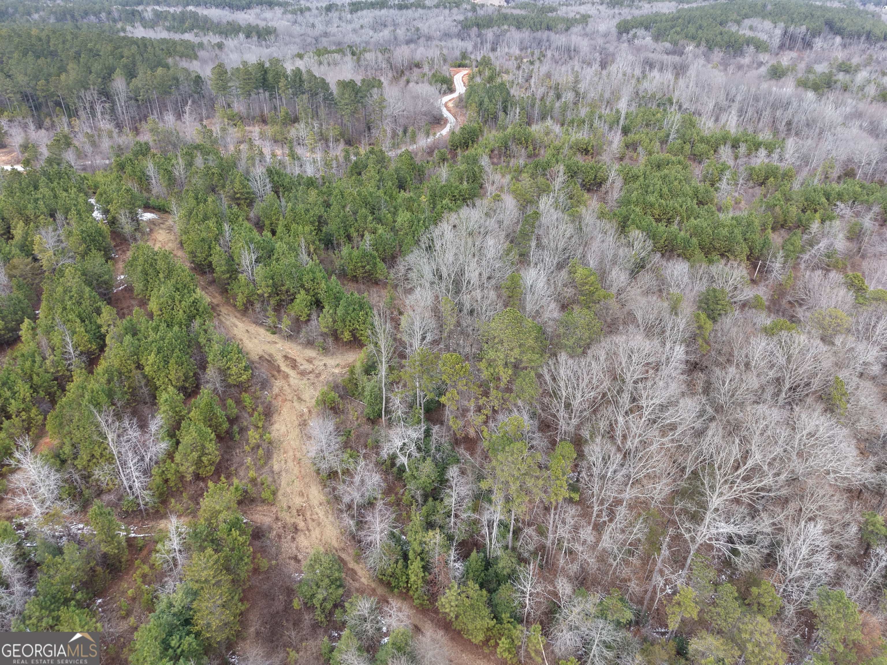 20 Turning Point Way Elberton, GA 30635 - Photo 12 of 40 a view of a forest with a tree