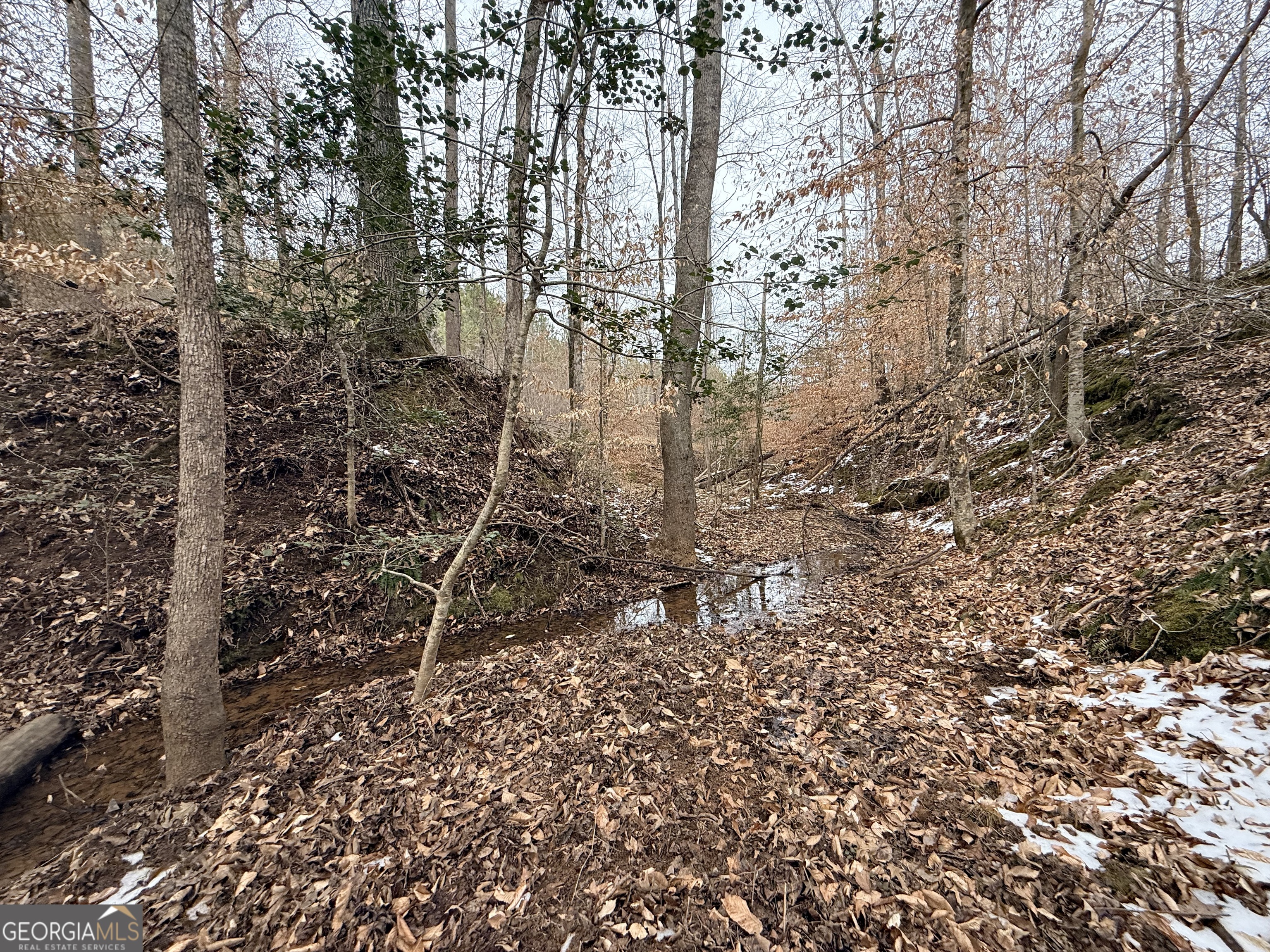 20 Turning Point Way Elberton, GA 30635 - Photo 13 of 40 a view of a yard with lots of bushes