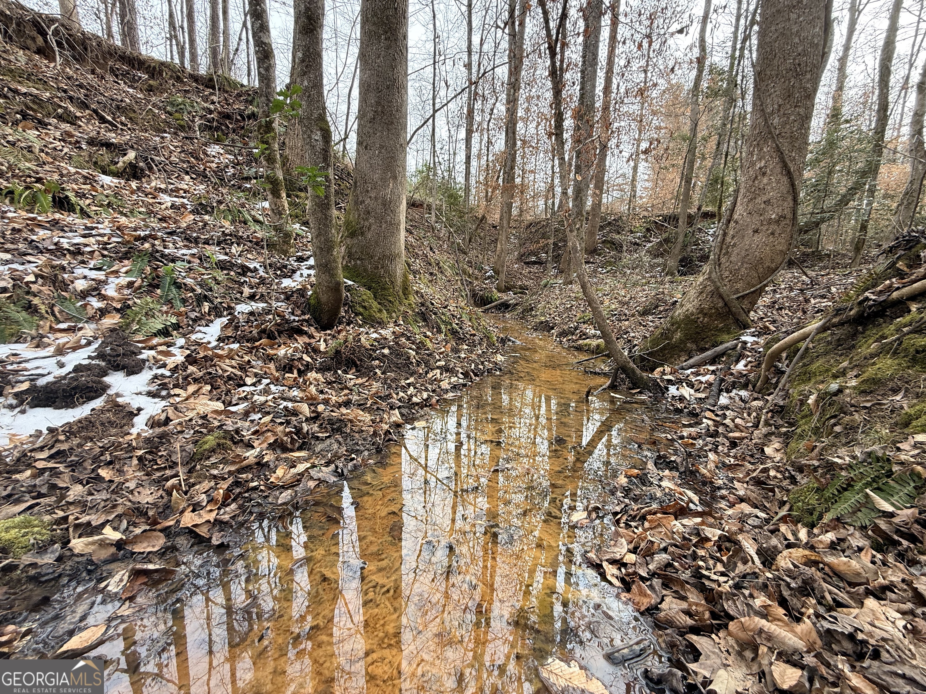 20 Turning Point Way Elberton, GA 30635 - Photo 14 of 40