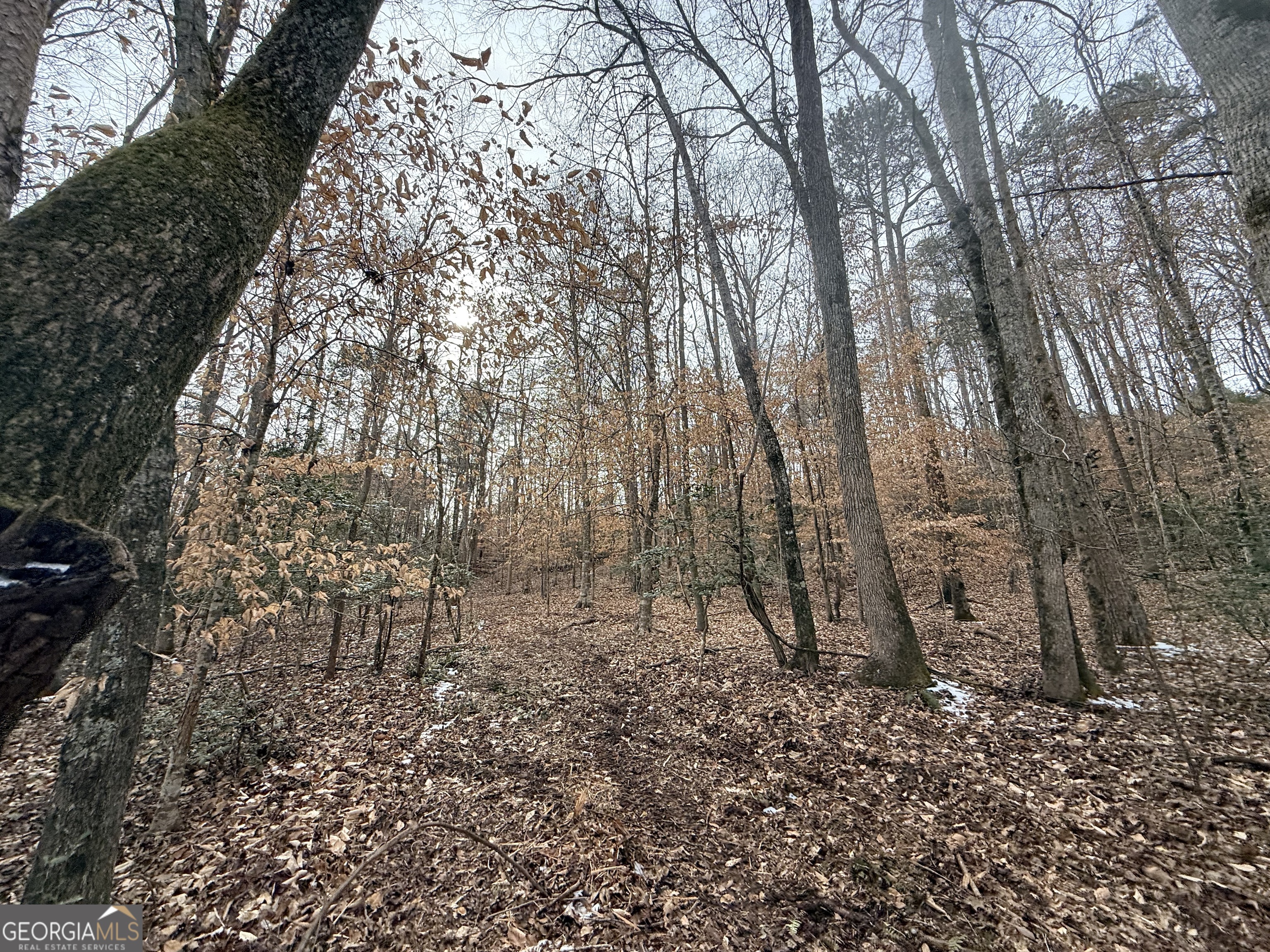 20 Turning Point Way Elberton, GA 30635 - Photo 16 of 40 a backyard of a house with lots of green space