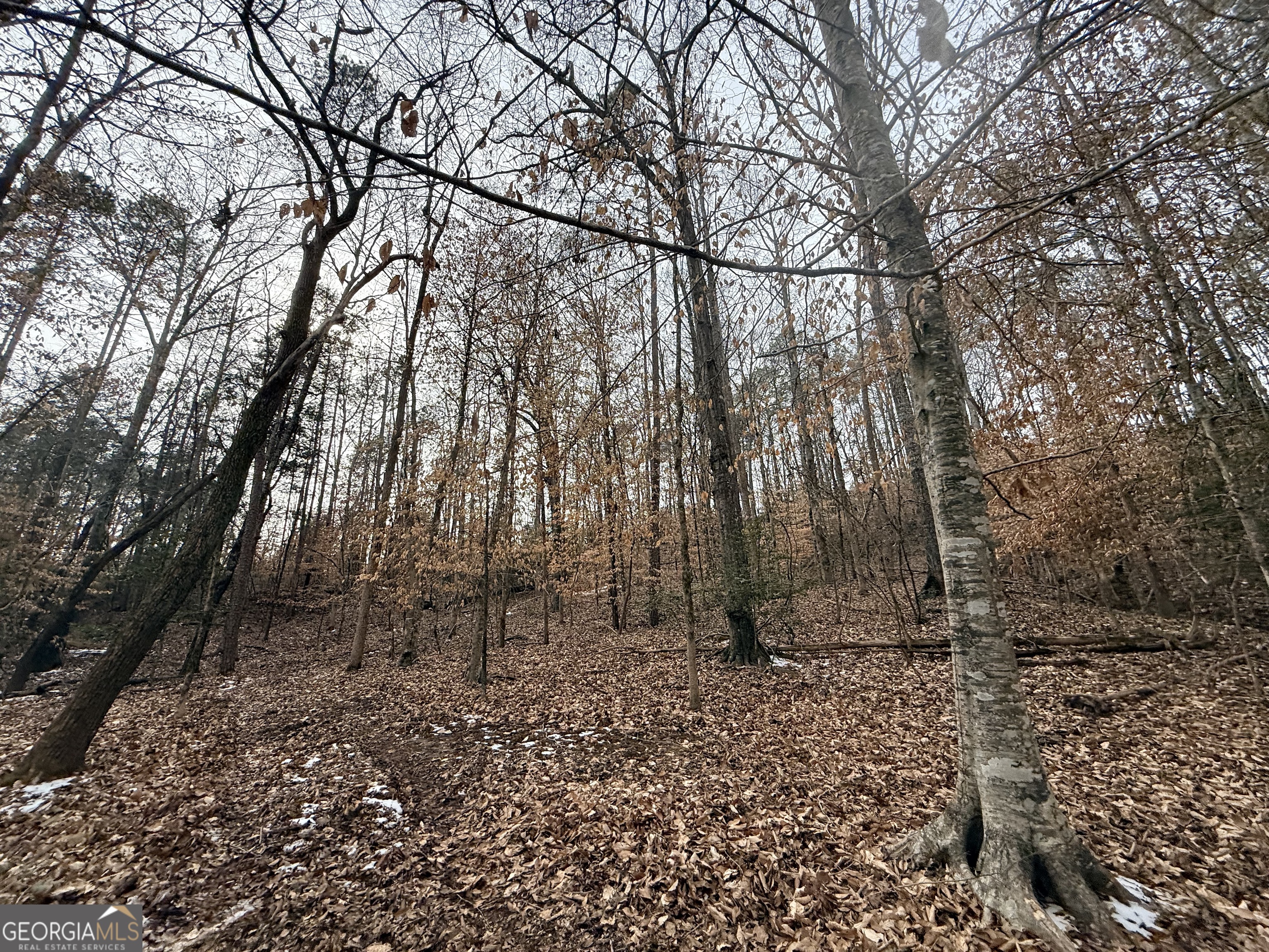 20 Turning Point Way Elberton, GA 30635 - Photo 18 of 40 a backyard of a house with lots of green space