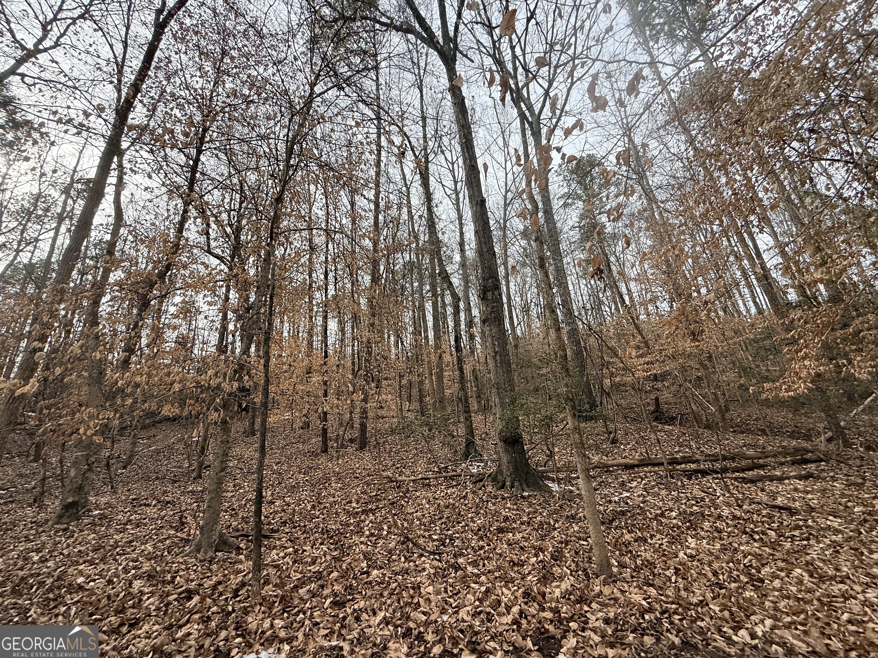 20 Turning Point Way Elberton, GA 30635 - Photo 19 of 40 a backyard of a house with lots of green space