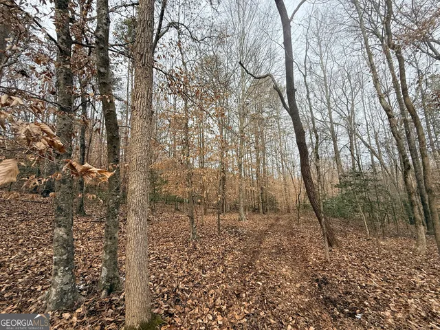 a view of a yard with trees in the background