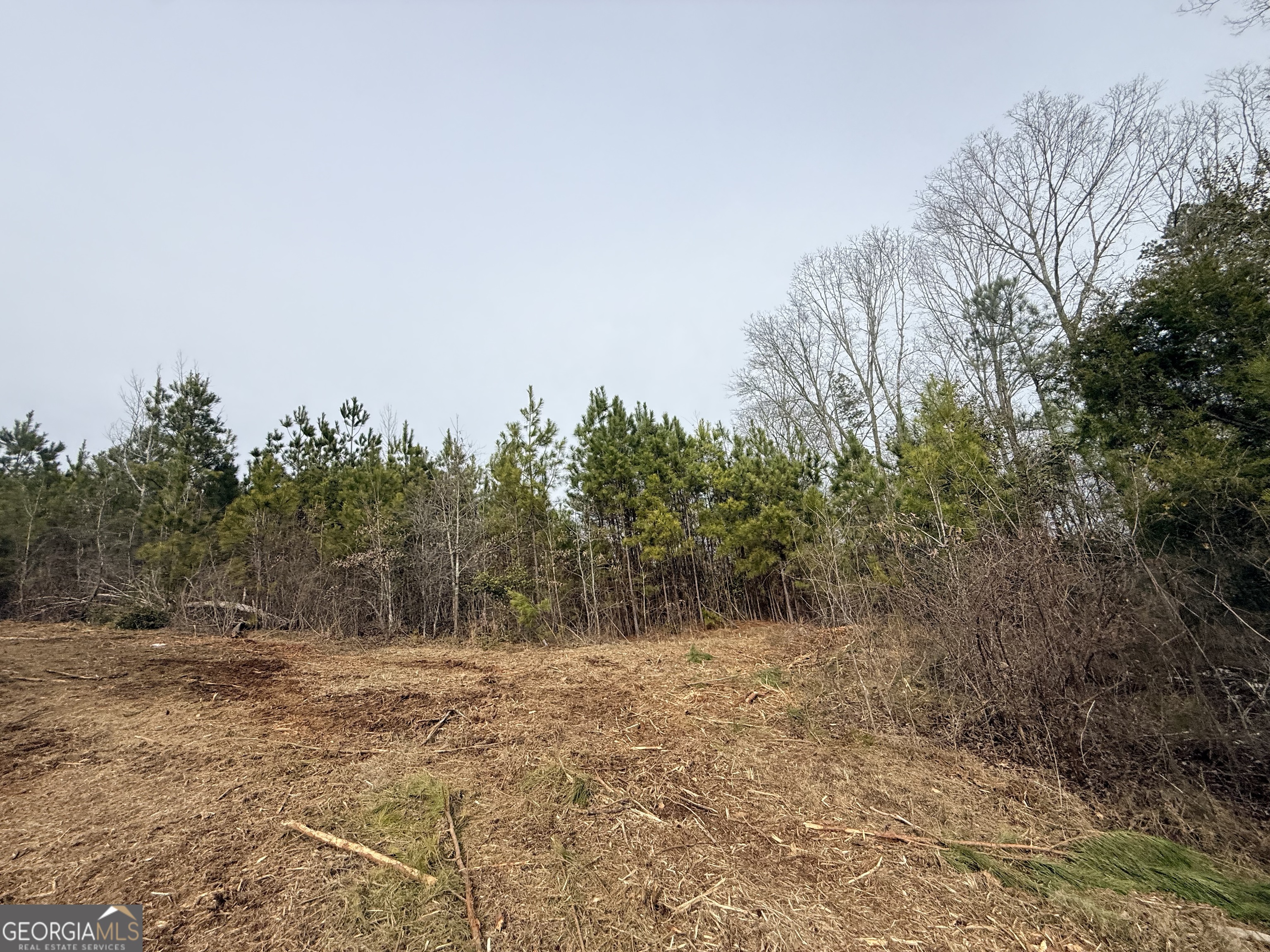 20 Turning Point Way Elberton, GA 30635 - Photo 22 of 40 a view of a yard with trees in the background