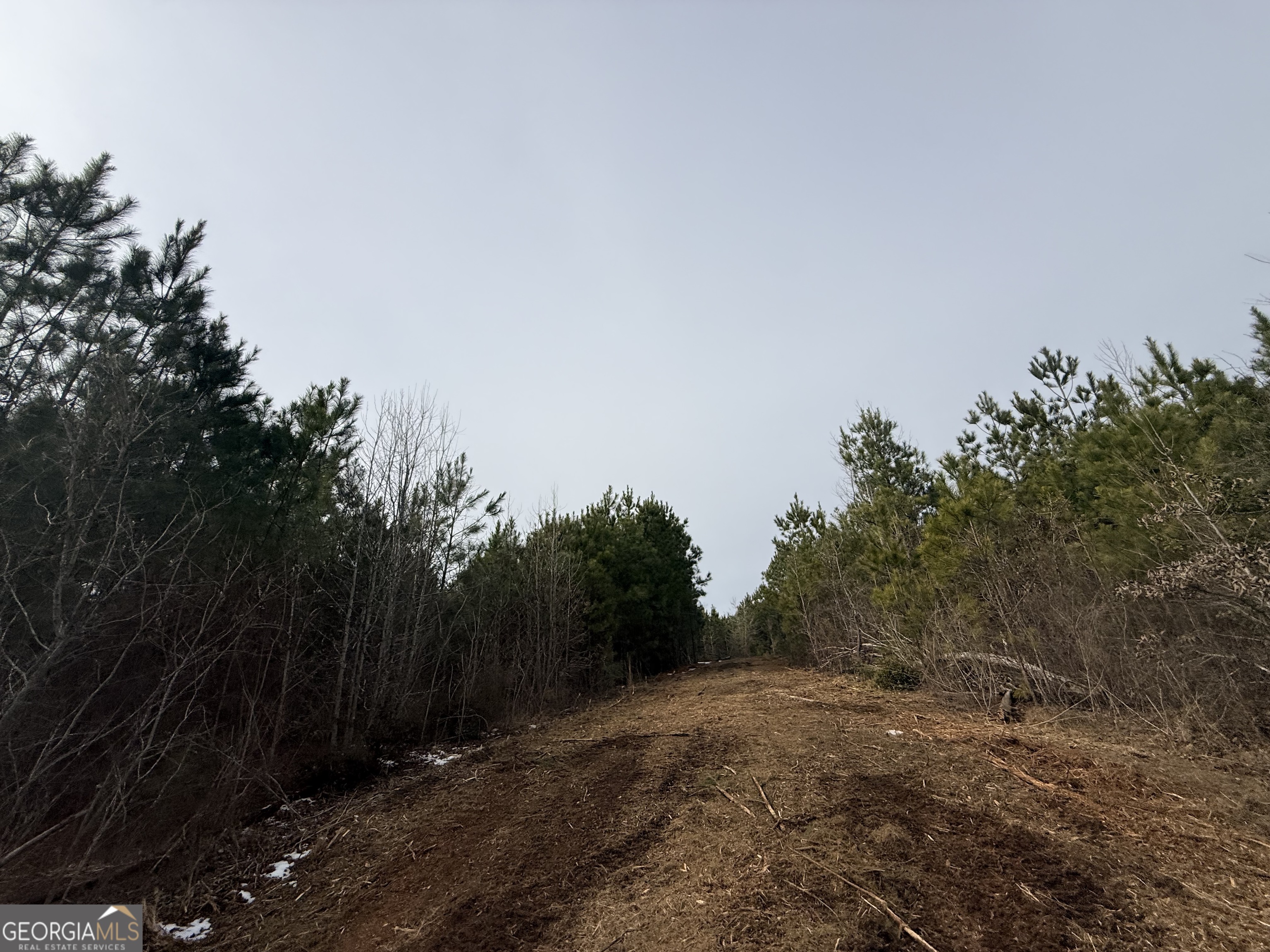 20 Turning Point Way Elberton, GA 30635 - Photo 23 of 40 a view of a yard