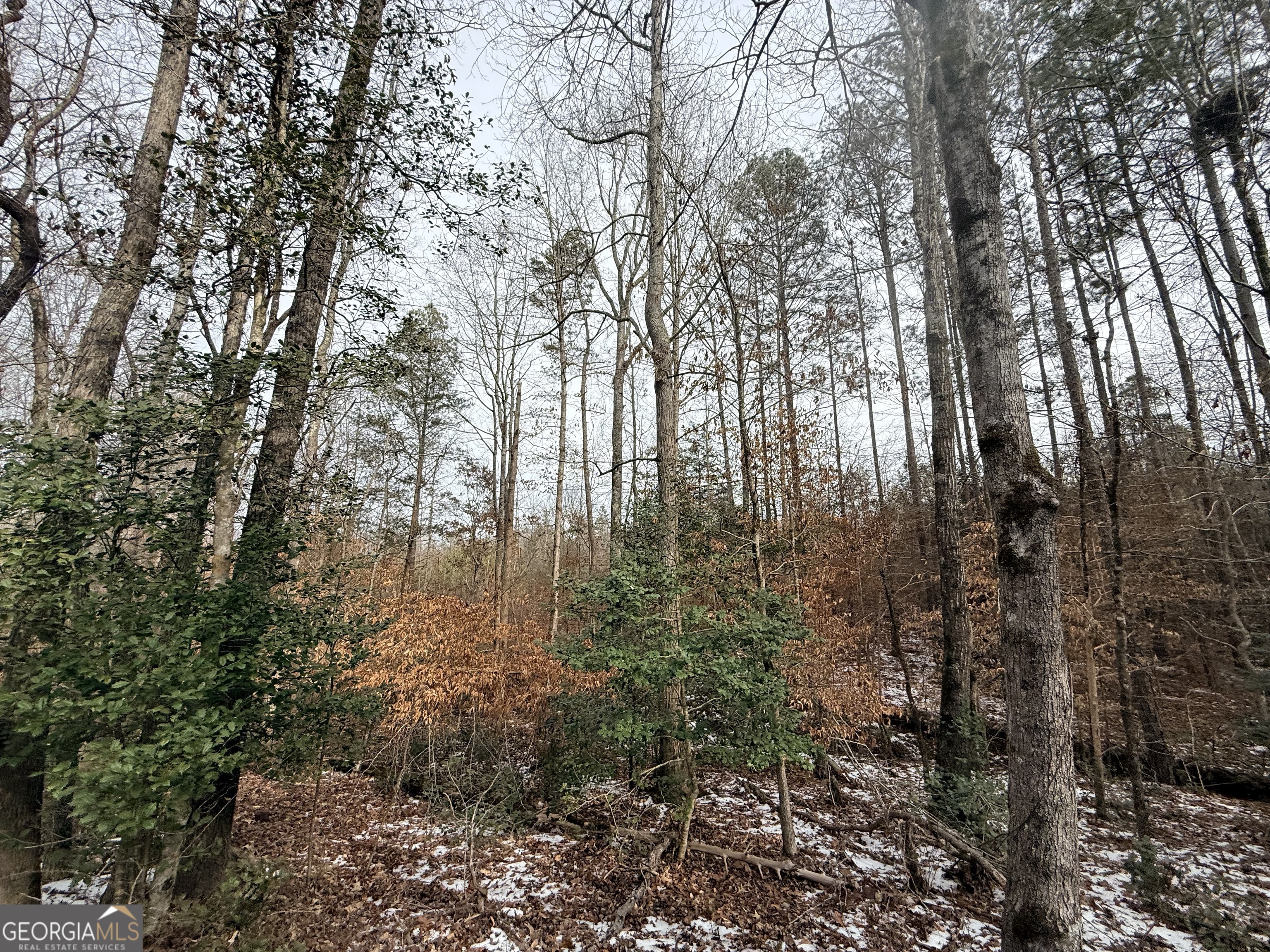 20 Turning Point Way Elberton, GA 30635 - Photo 25 of 40 a view of forest