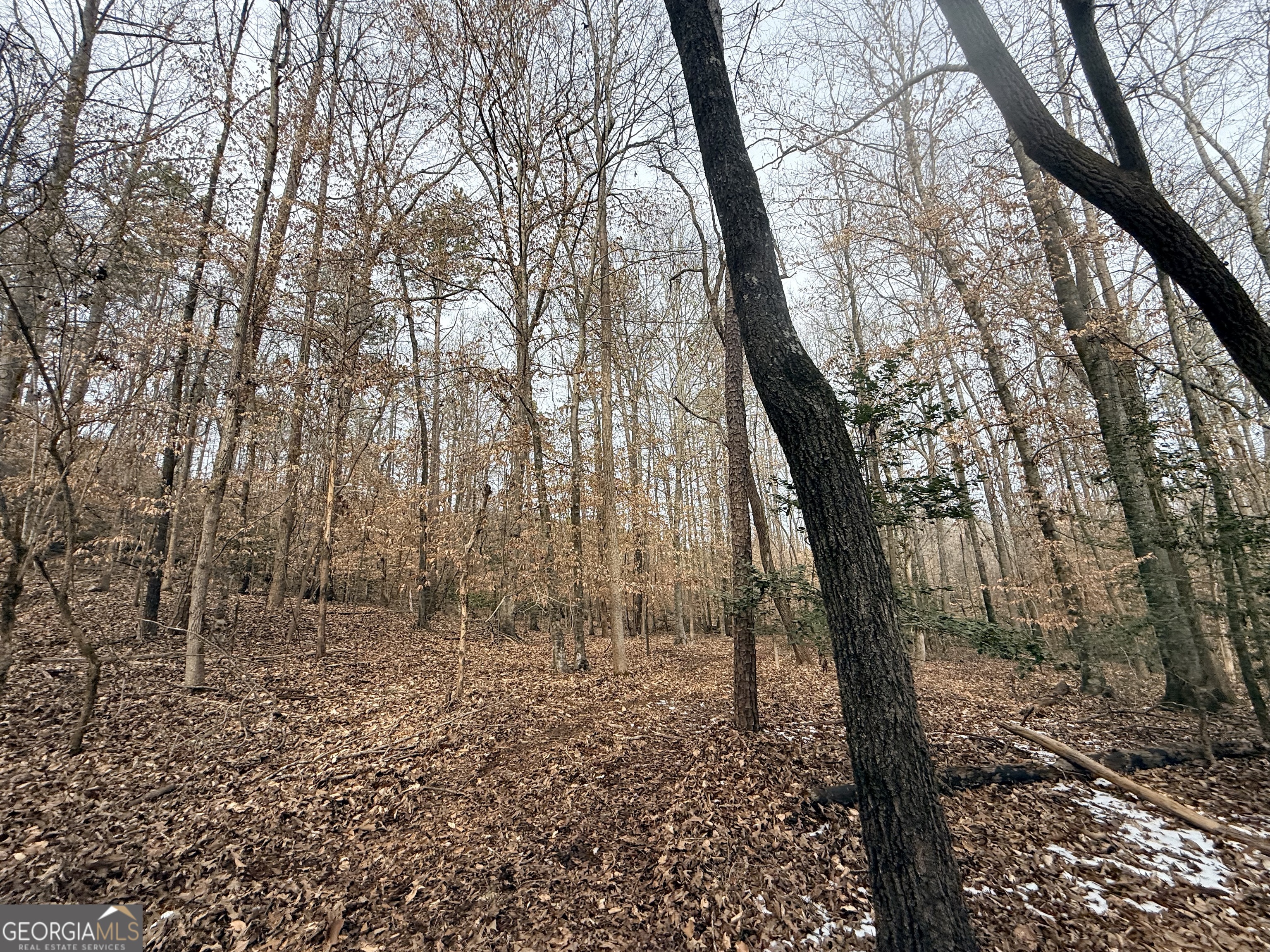 20 Turning Point Way Elberton, GA 30635 - Photo 26 of 40 a view of a yard