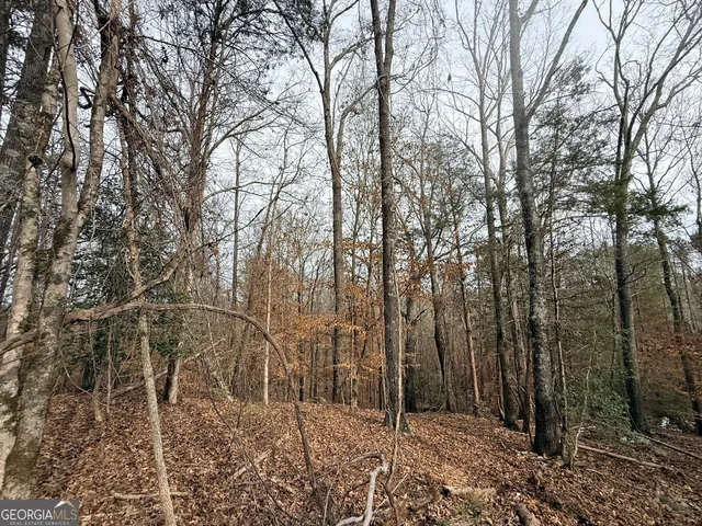 a view of a chairs and table in backyard
