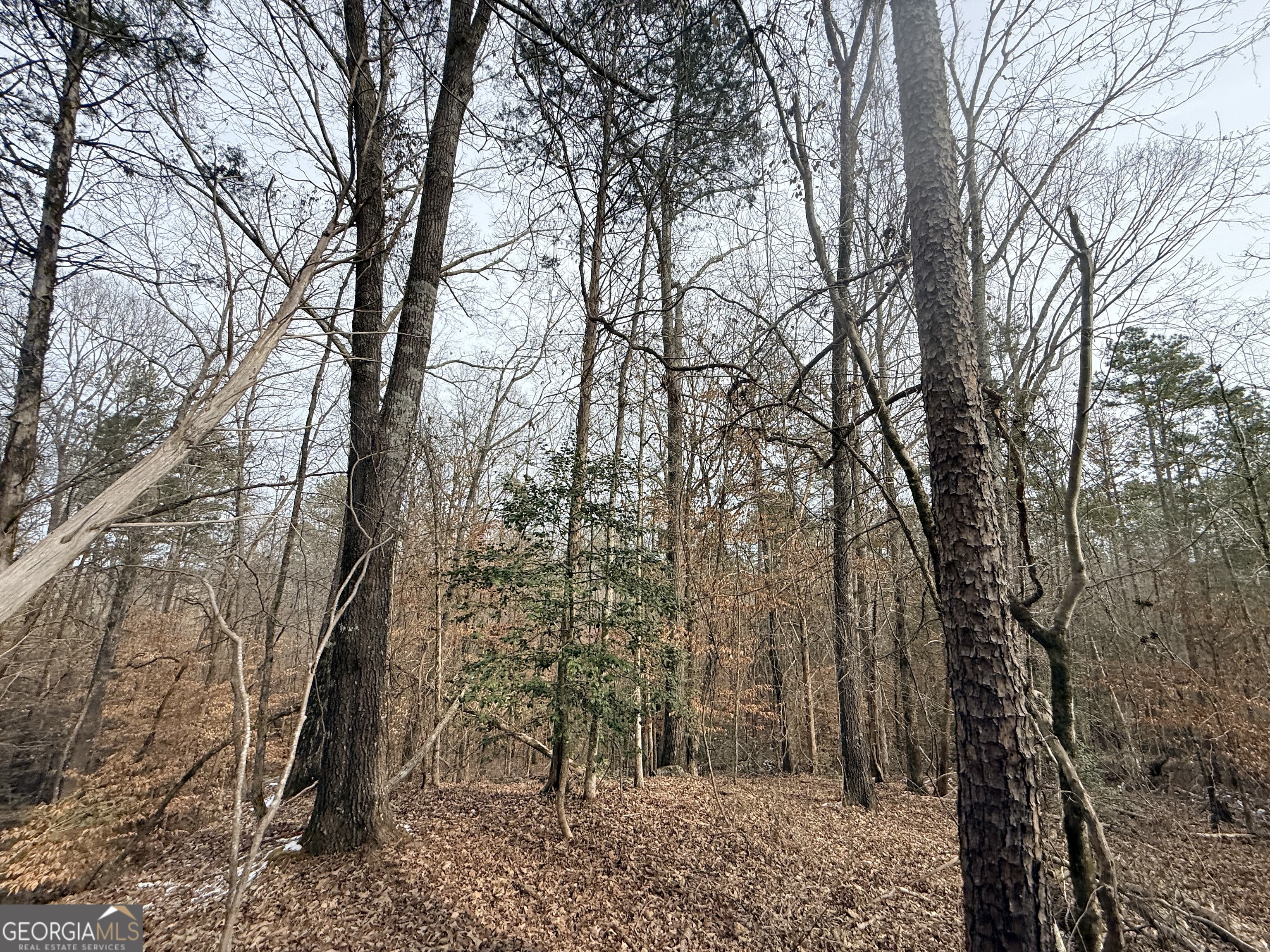 20 Turning Point Way Elberton, GA 30635 - Photo 29 of 40 a view of a yard