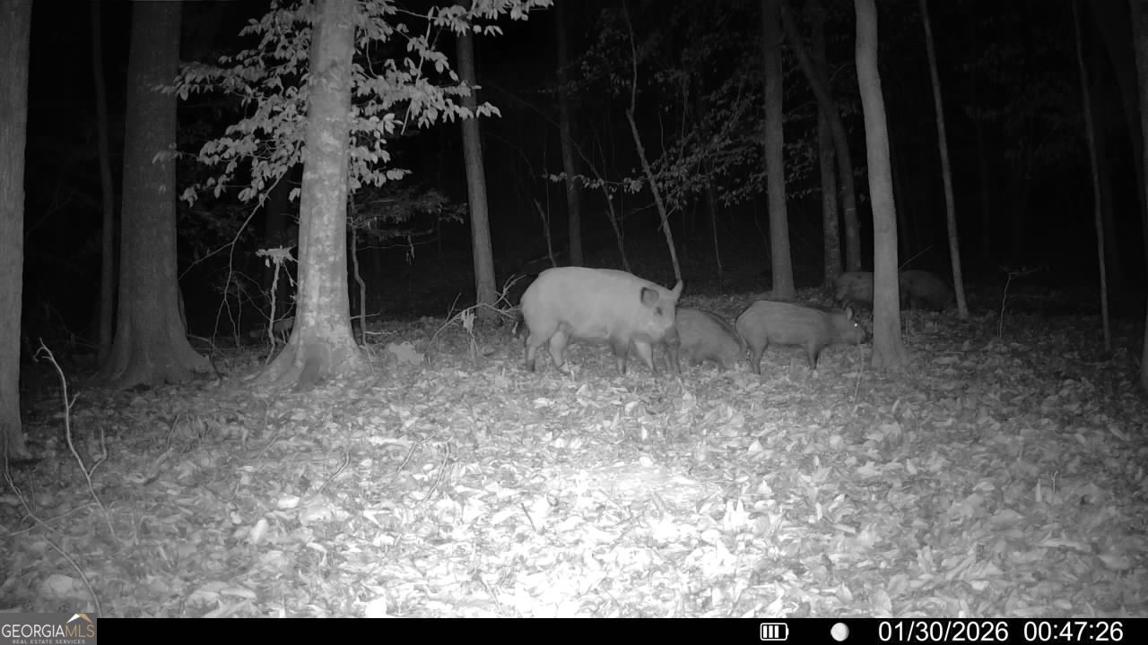 20 Turning Point Way Elberton, GA 30635 - Photo 32 of 40 a view of a outdoor space